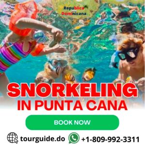 Snorkeling In Punta Cana