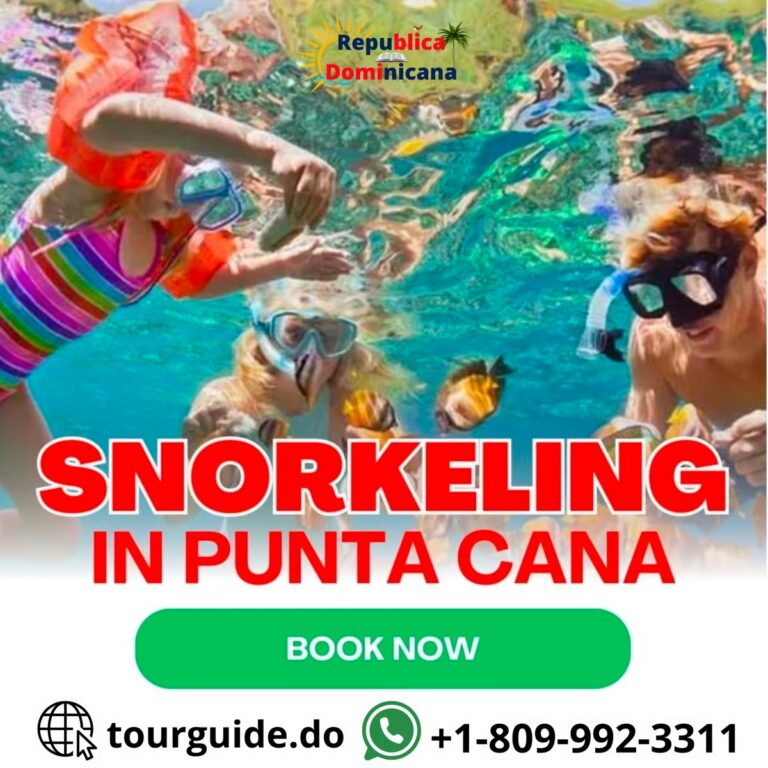 Snorkeling In Punta Cana